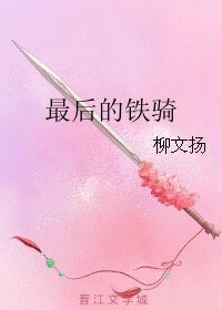 《最后的铁骑》