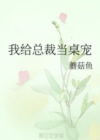 我给总裁当桌宠