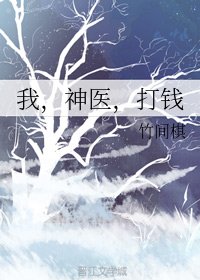 《我,神医,打钱》