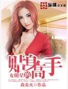 《女明星的贴身高手》