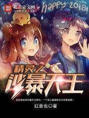 《(宠物小精灵同人)精灵之沙暴天王》