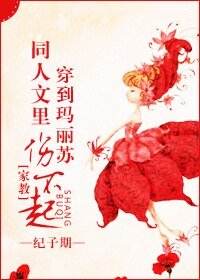 《(家教同人)穿到玛丽苏同人文里伤不起》