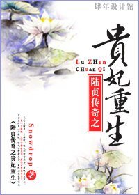 (陆贞同人)贵妃重生