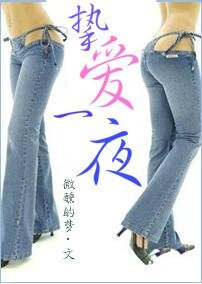 摯愛一夜