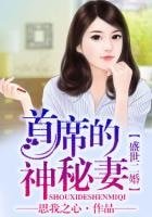 盛世二婚，总裁的神秘妻