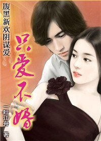 《遭遇阴谋爱情:只爱不婚》