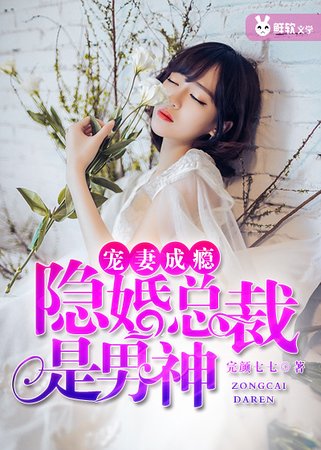 《宠妻成瘾:隐婚总裁是男神》
