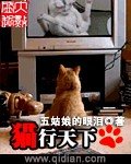 《猫行天下》