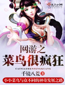 《网游之菜鸟很疯狂》