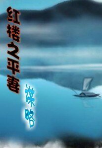 《红楼之平妻谋略》