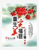 《重生完美福晉》