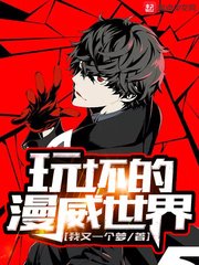 《玩坏的漫威世界》