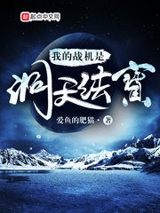 《我的战机是洞天法宝》
