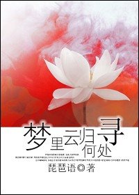梦里云归何处寻