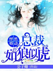 《怦然婚动:总裁如狼似虎》