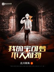 《我的宝可梦不大对劲》