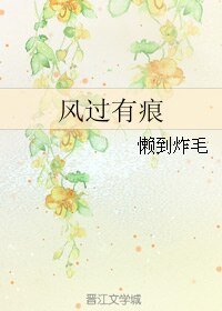 《风过有痕》