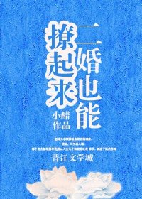 二婚也能撩起来/小阳春[豪门]