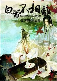 《白首不相离》
