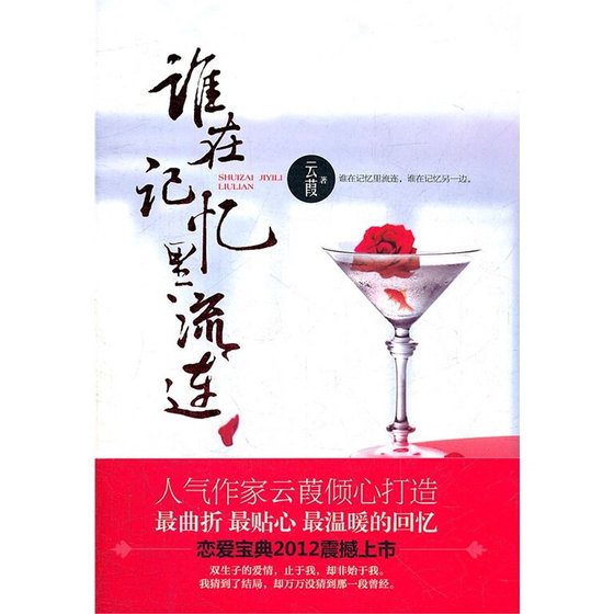 《谁在记忆里流连(出书版)》