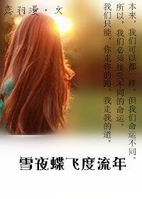 《雪夜蝶飞度流年》