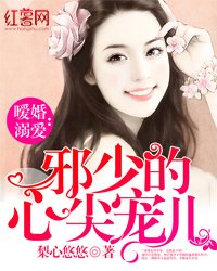 暖婚溺爱:邪少的心尖宠儿