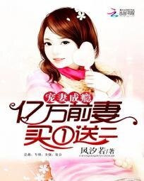 《宠妻成瘾:亿万前妻买一送二》