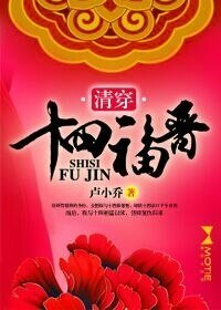 《清穿十四福晋》