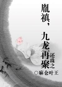 (还珠同人)还珠之胤禛,九龙再聚