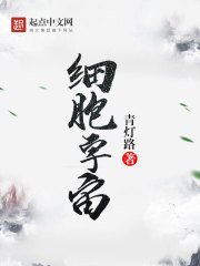 《息胞宇宙》