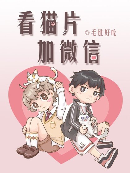 《看貓片加微信》
