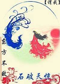 《(BL/东方不败同人)东方不败之石破天惊》