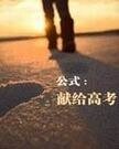 公式献给高考