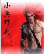 《小兵野史》