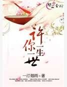 《许你一生一世》