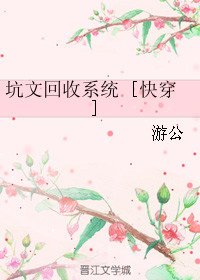 《坑文回收系统》
