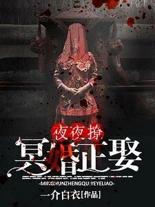 《冥婚正娶:夜夜撩》