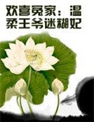《歡喜冤家:溫柔王爺迷糊妃》