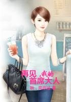 再见,我的总裁大人