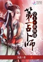 《第一占卜师:皇上,求休战》
