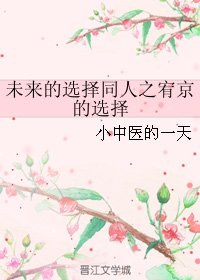 (未来的选择同人)未来的选择同人之宥京的选择