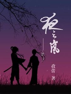 夜之嵐