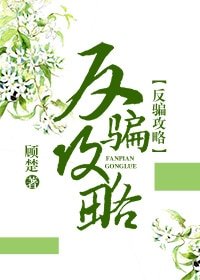 《反骗攻略》