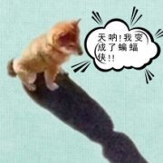 《重生之愿望成真》