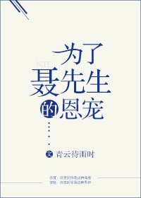 《为了聂先生的恩宠》