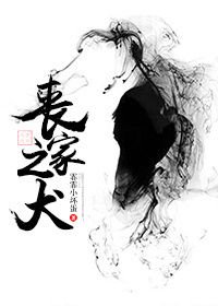 《丧家之犬(重生)》
