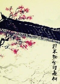 《君不知兮可奈何》