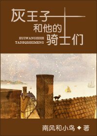 《灰王子和他的骑士们》