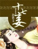 十七妾:腹黑王爺九等侍妾
