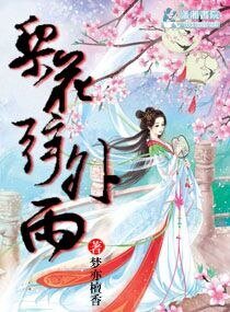 《梨花弦外雨》